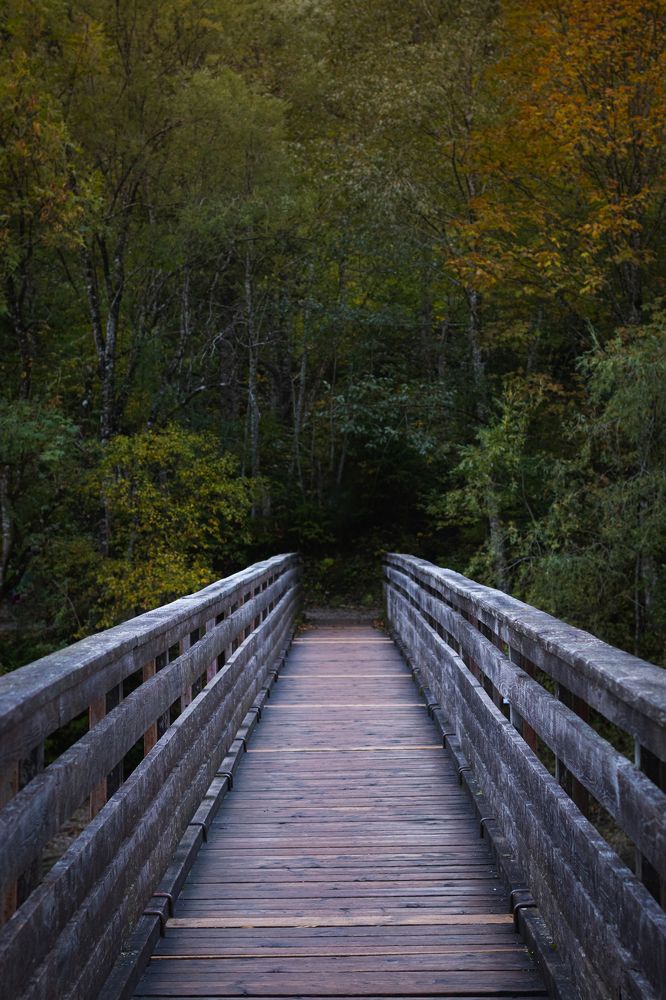 Фотография автора Laura Baratas