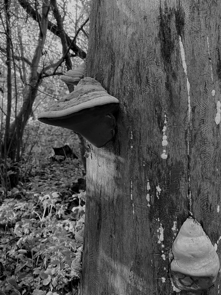 Photograph by Халуторных Мария