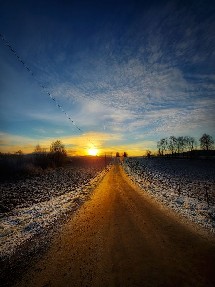 Photograph by Håkan Frisk