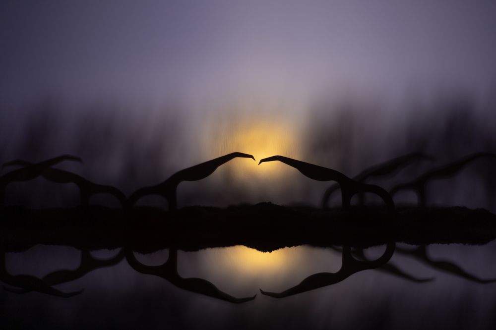 Photograph by Екатерина Каменцева