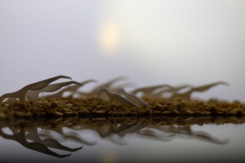 Photograph by Екатерина Каменцева