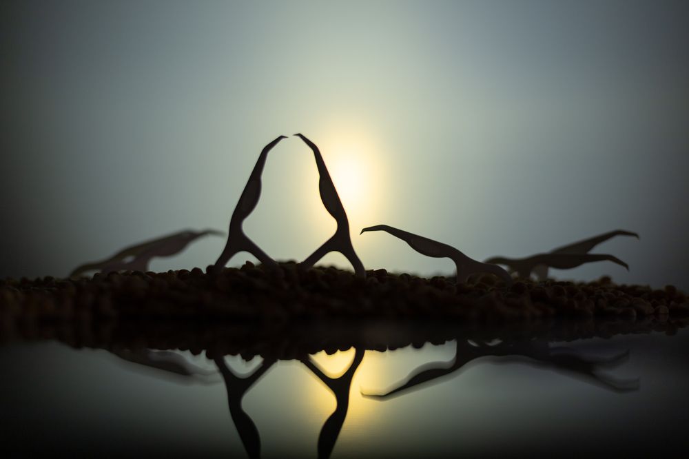 Photograph by Екатерина Каменцева