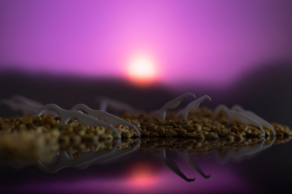 Photograph by Екатерина Каменцева