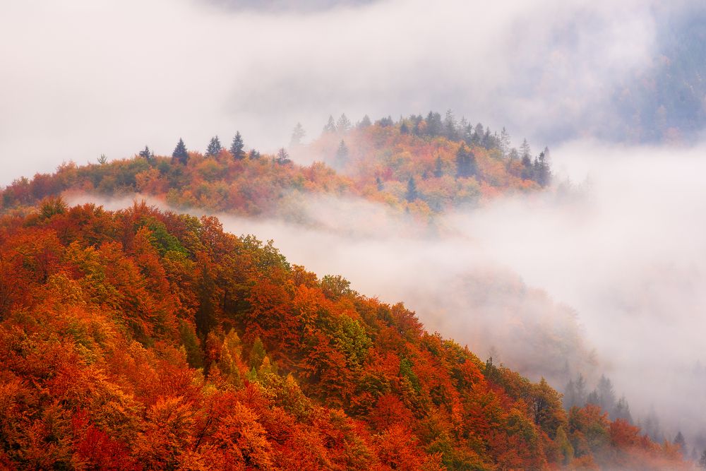 Photograph by Roksana Bashyrova