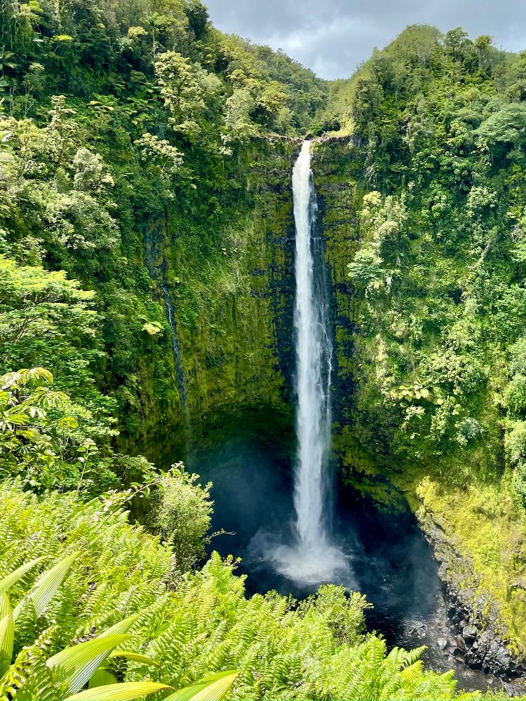 Photograph by Oleksandr Petrov