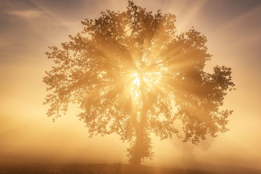 Photograph by Roksana Bashyrova