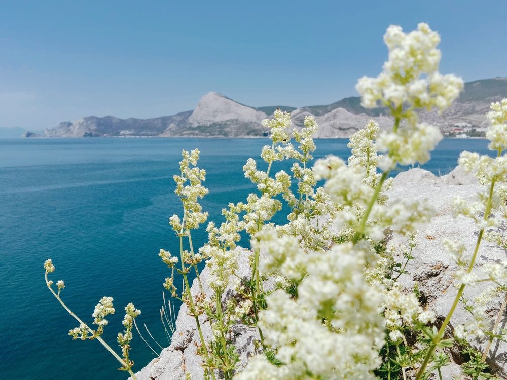 Photograph by Стаскевич Татьяна