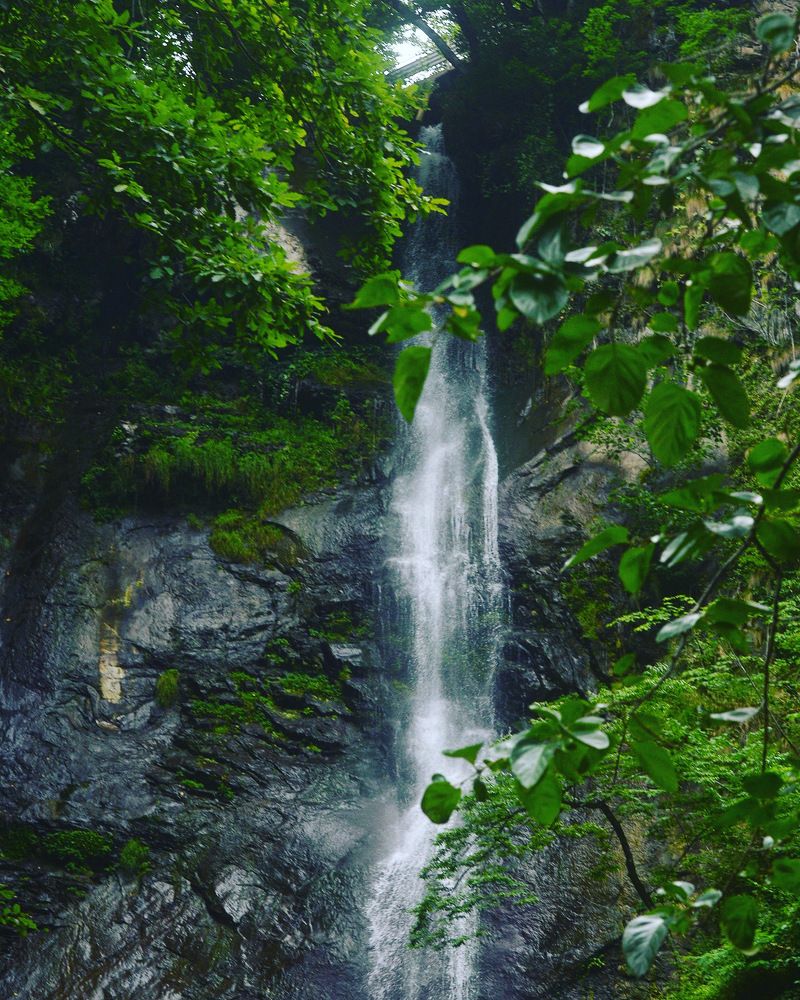 Photograph by Davit Medzmariashvili