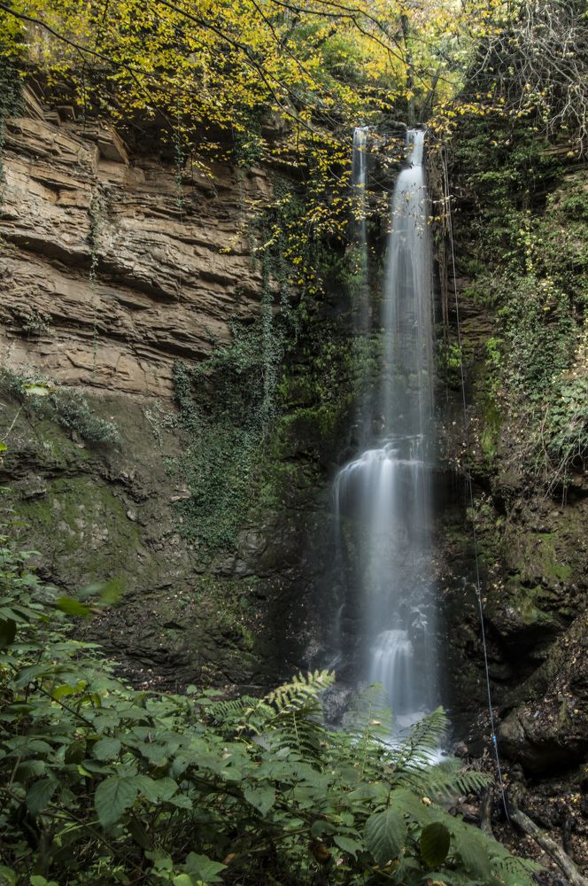 Photograph by Muzaffer Sütlüoğlu