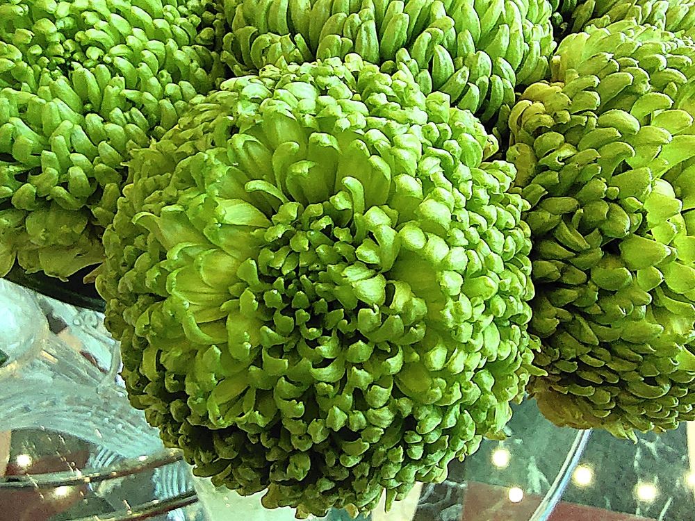 Photograph by Arnaz Framji