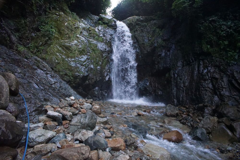 Photograph by Muzaffer Sütlüoğlu
