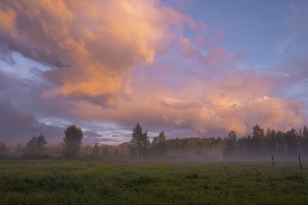 Photograph by Sandra