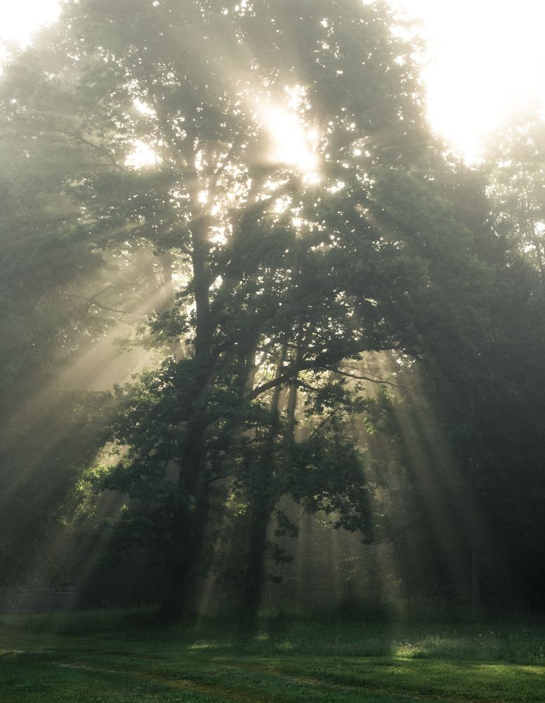 Photograph by Sandra