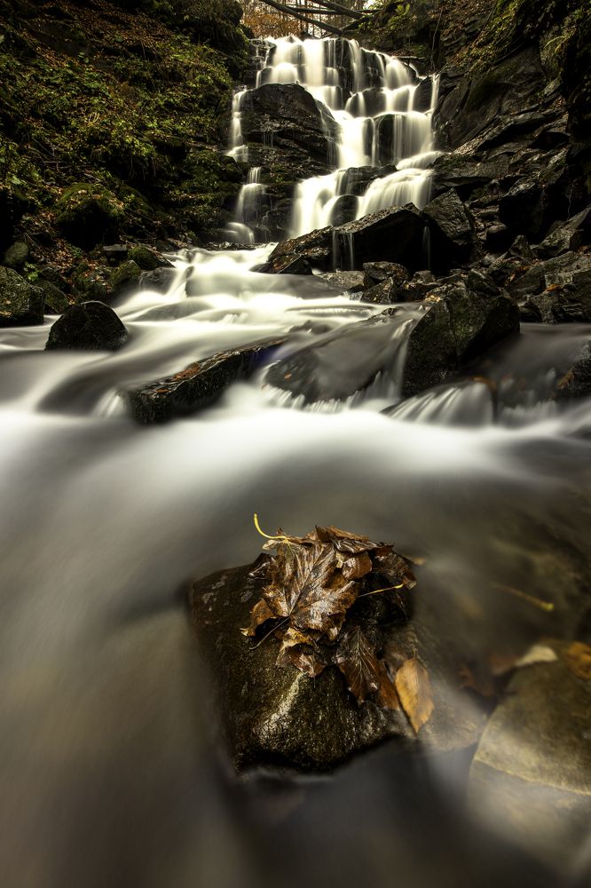 Photograph by Denys Makogon