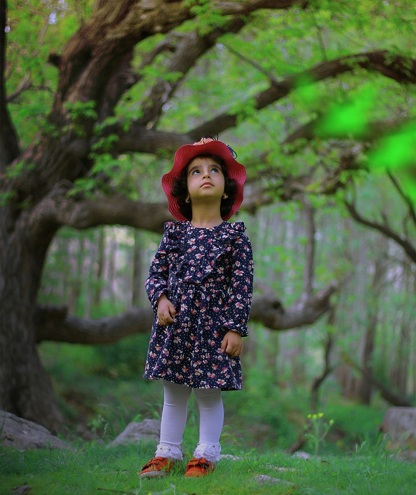 Фотография автора morteza solgi