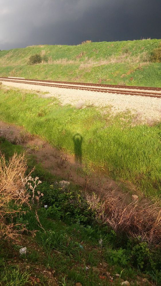 Photograph by Jacob Greenberg