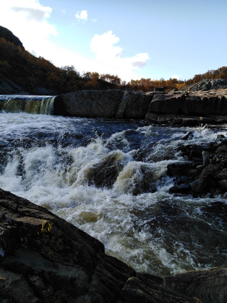 Photo #6806266