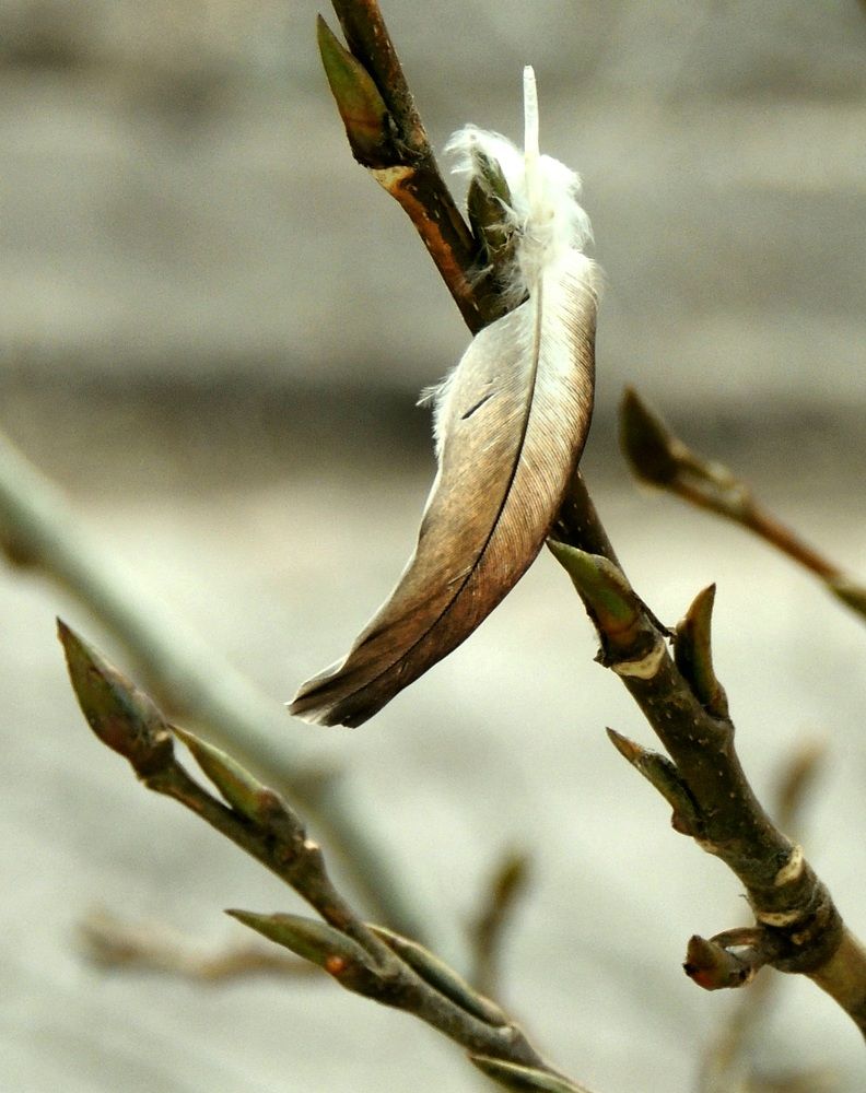Photograph by Инна Щербакова