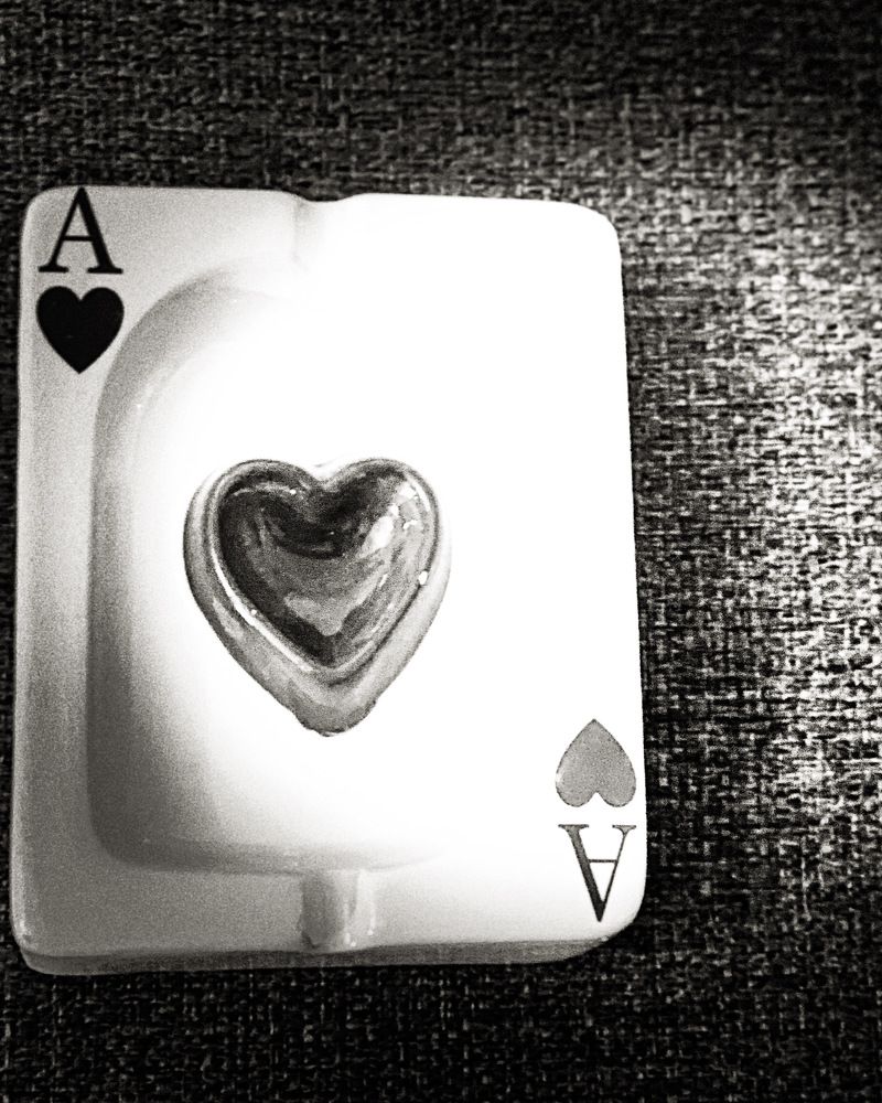 Photograph by Feda Haddad