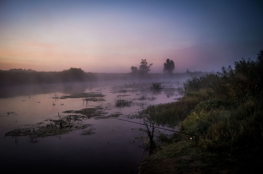 Photograph by Александр Натальин