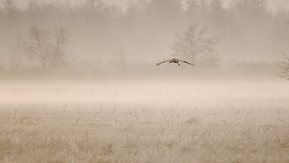 Photograph by Евгений