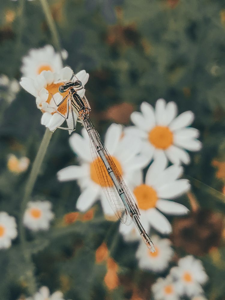 Photograph by Николаев Роман