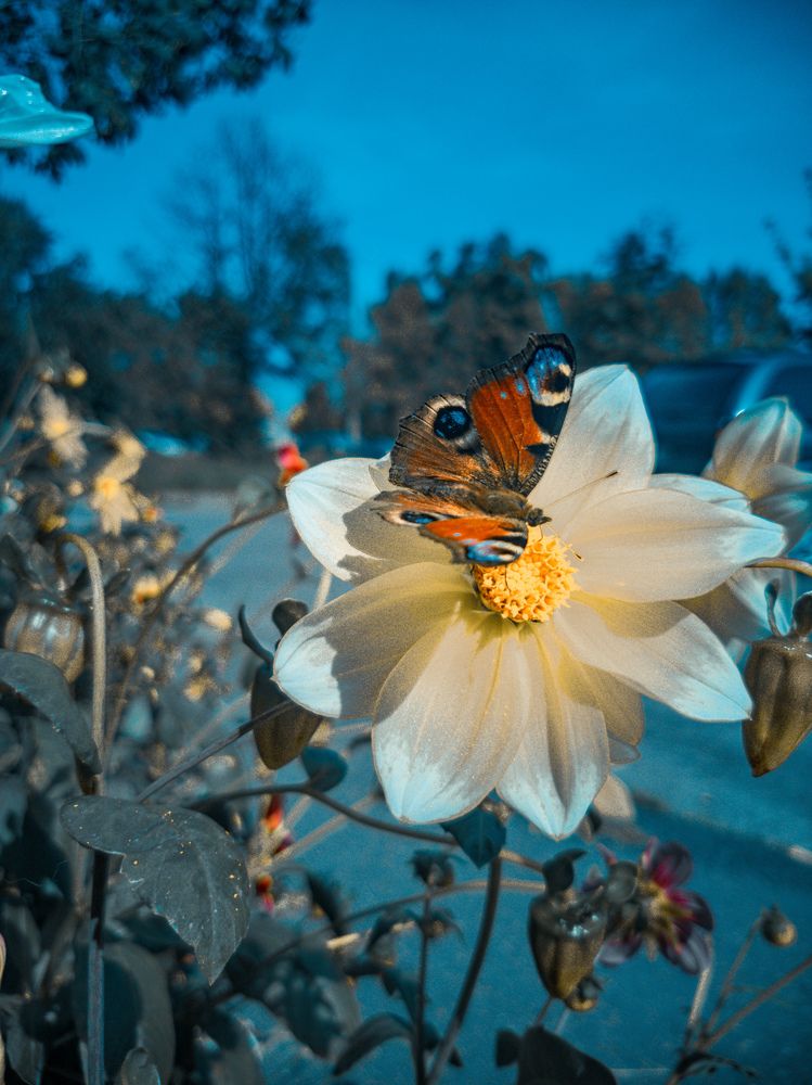 Photograph by Николаев Роман