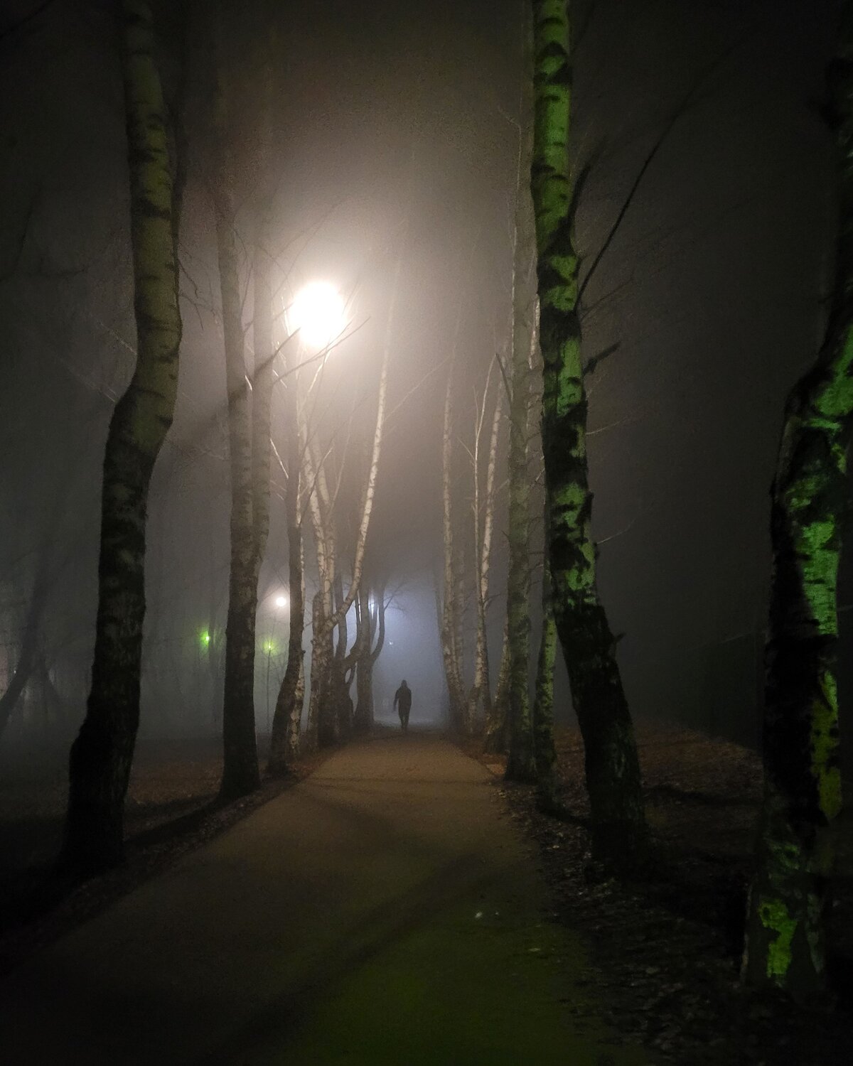 Photo #6806400