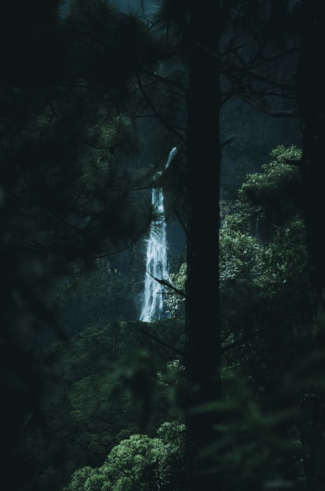 Photograph by Sriram Rajeswaran