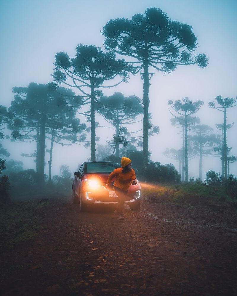 Photograph by aline fortuna