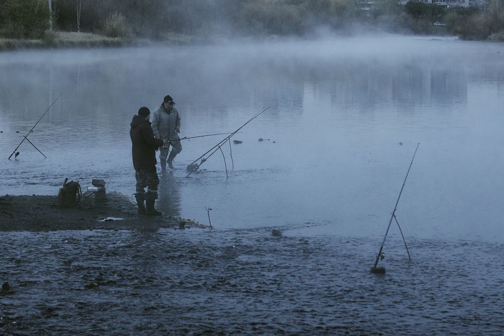 Photograph by Елизавета Погадаева