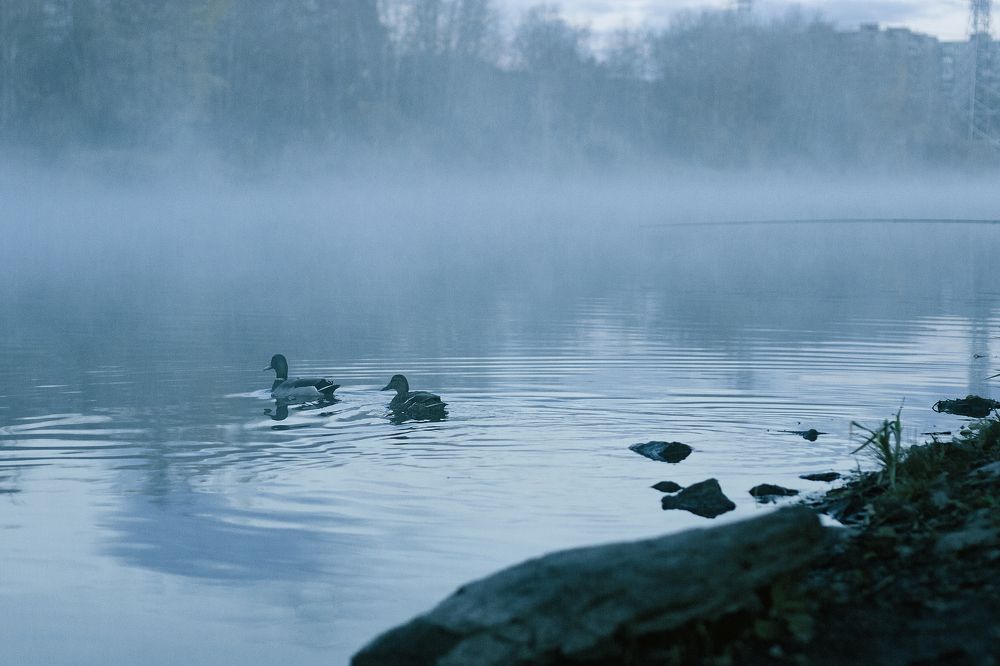 Photograph by Елизавета Погадаева