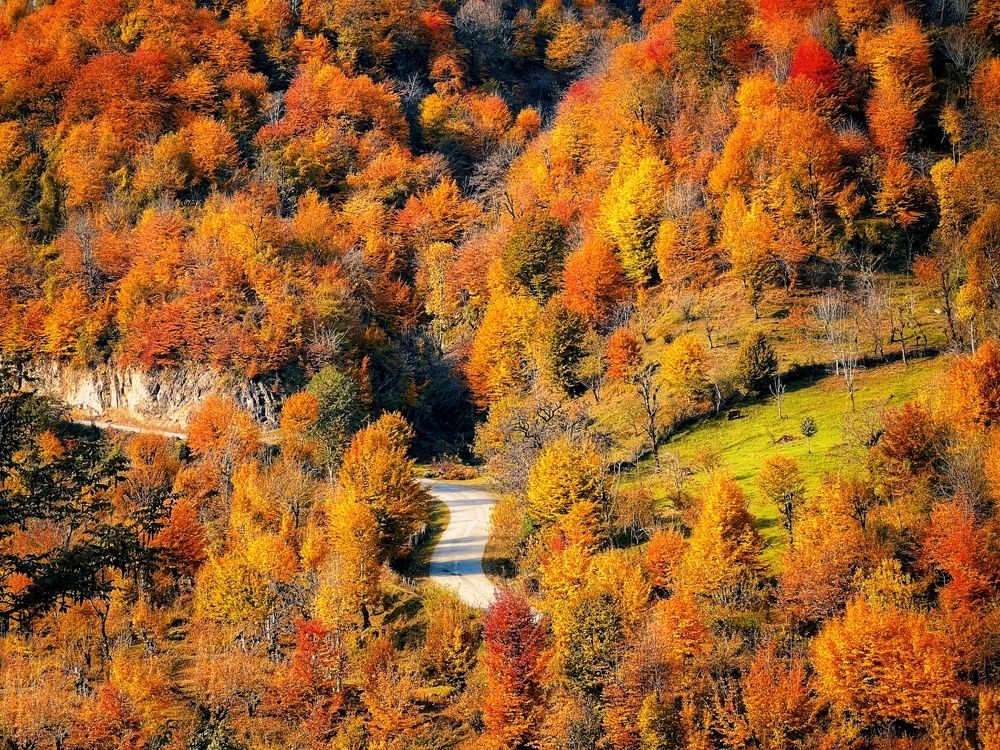 Photograph by Ali goreishi