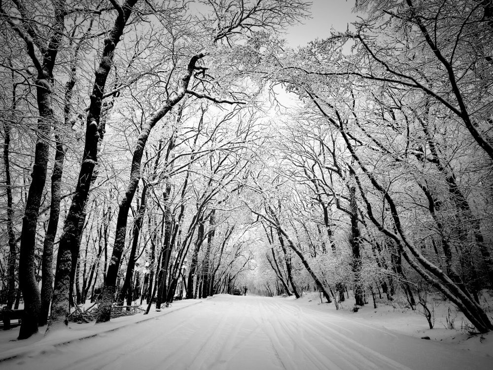 Фотография автора Владимир Кривенко