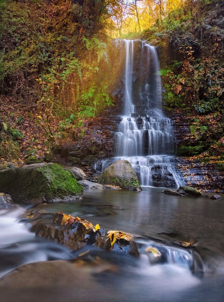 Photograph by Ali goreishi