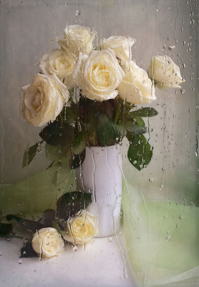 Photograph by Вера Звягинцева