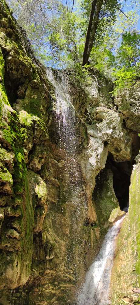 Photograph by Елена Чертова