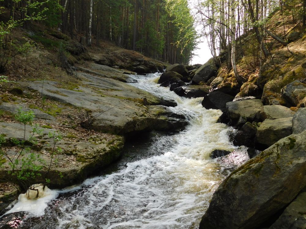 Photograph by Чкареули Светлана