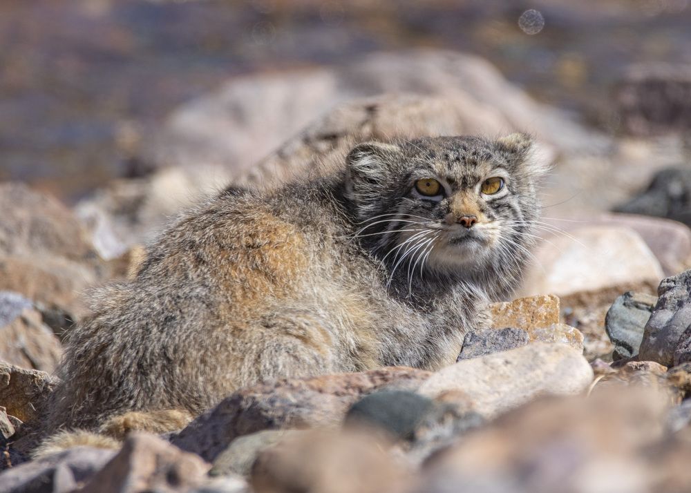 Photograph by Денис Жбир