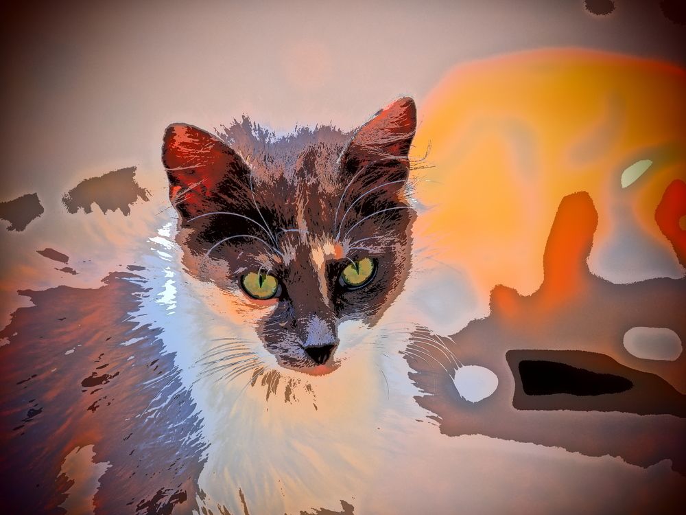 Photograph by Сергей Борисов