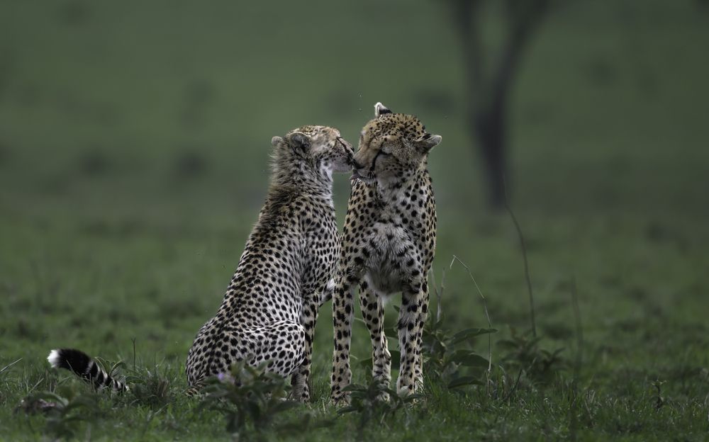 Photograph by Vignesh Ramachandran