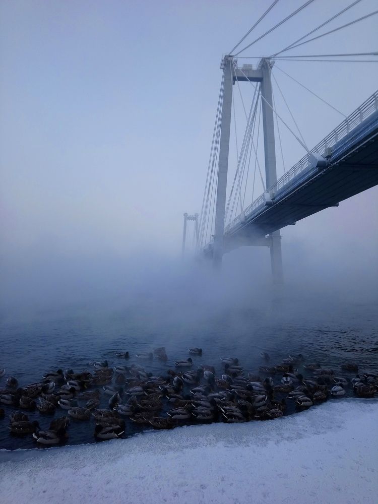 Photograph by Людмила Воропаева