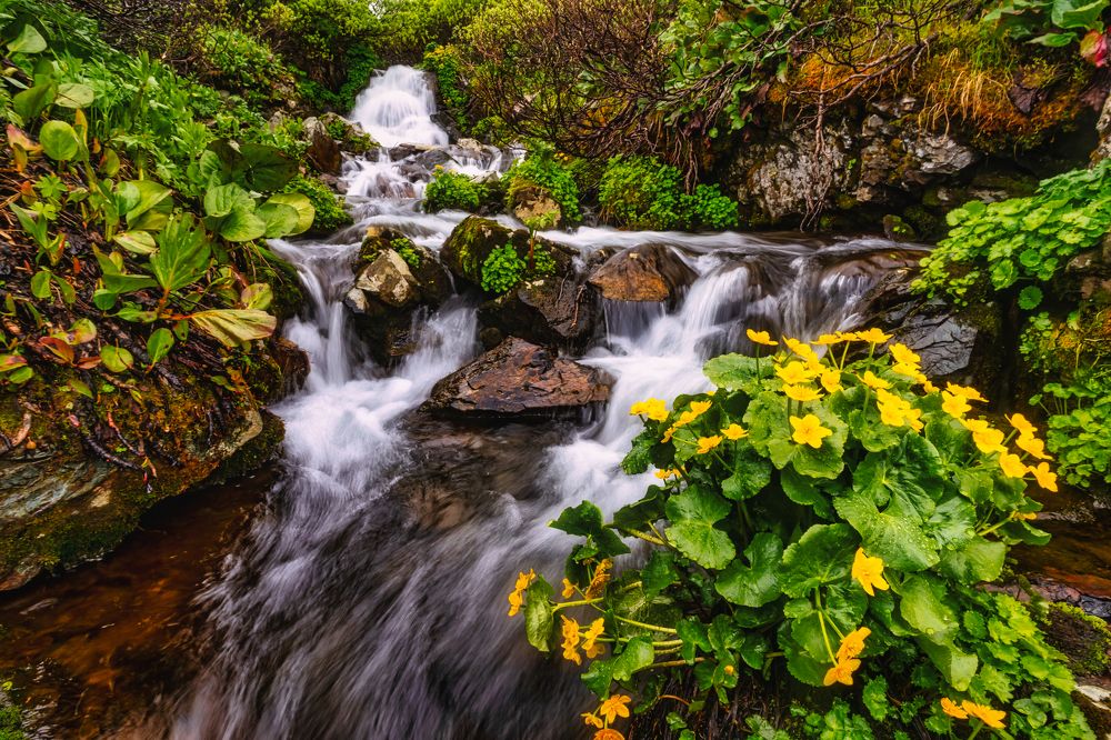 Photograph by Руслан Нигматуллин