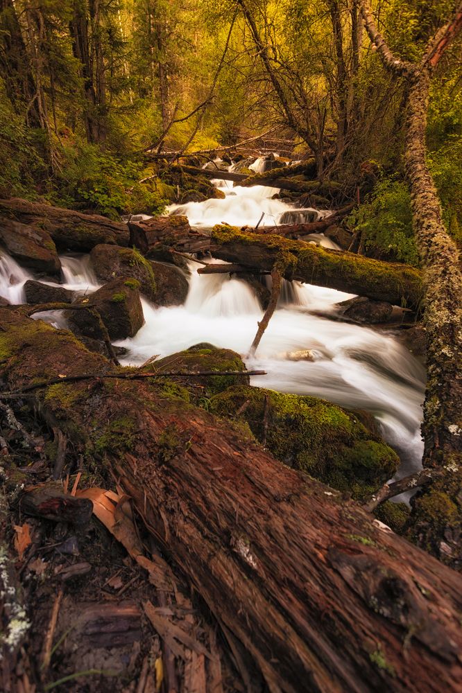 Photograph by Руслан Нигматуллин