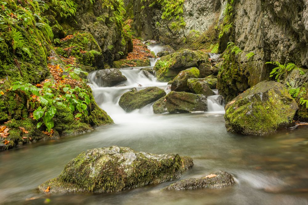 Photograph by Анастасия Григорян