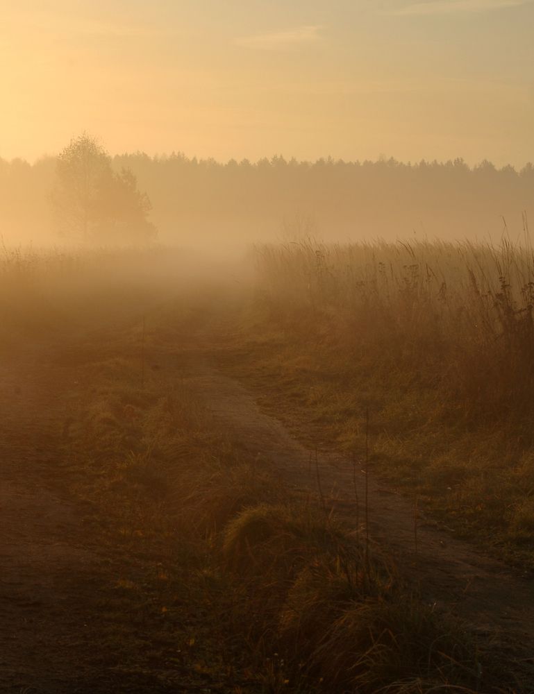 Photograph by Майя Синичкина