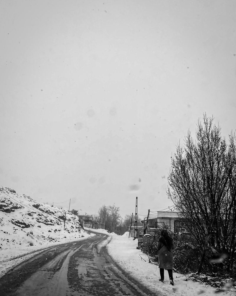 Photograph by Omid Negahban