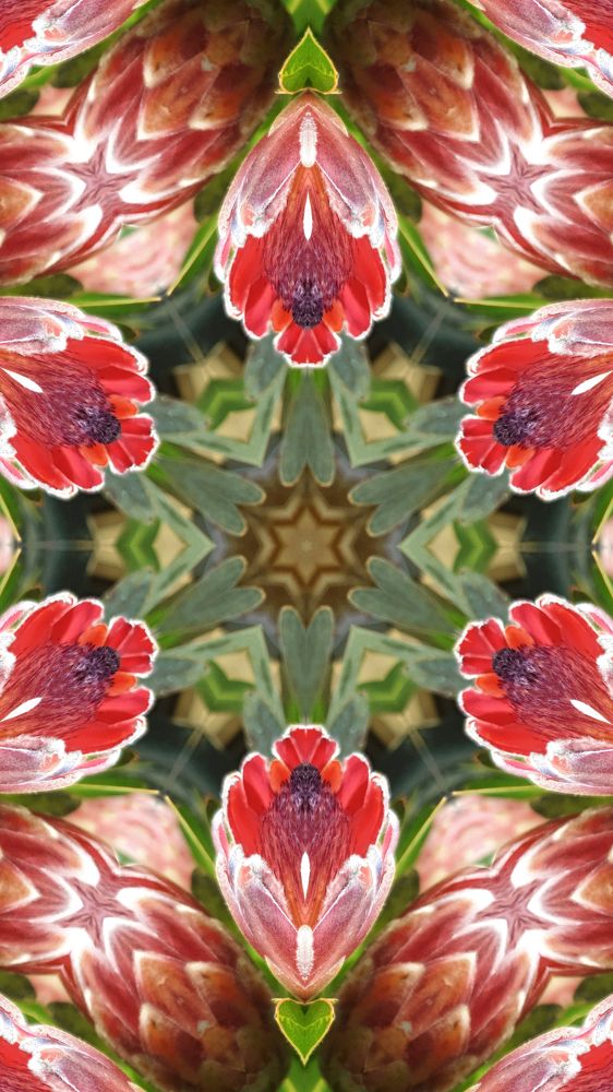 Photograph by Marie G