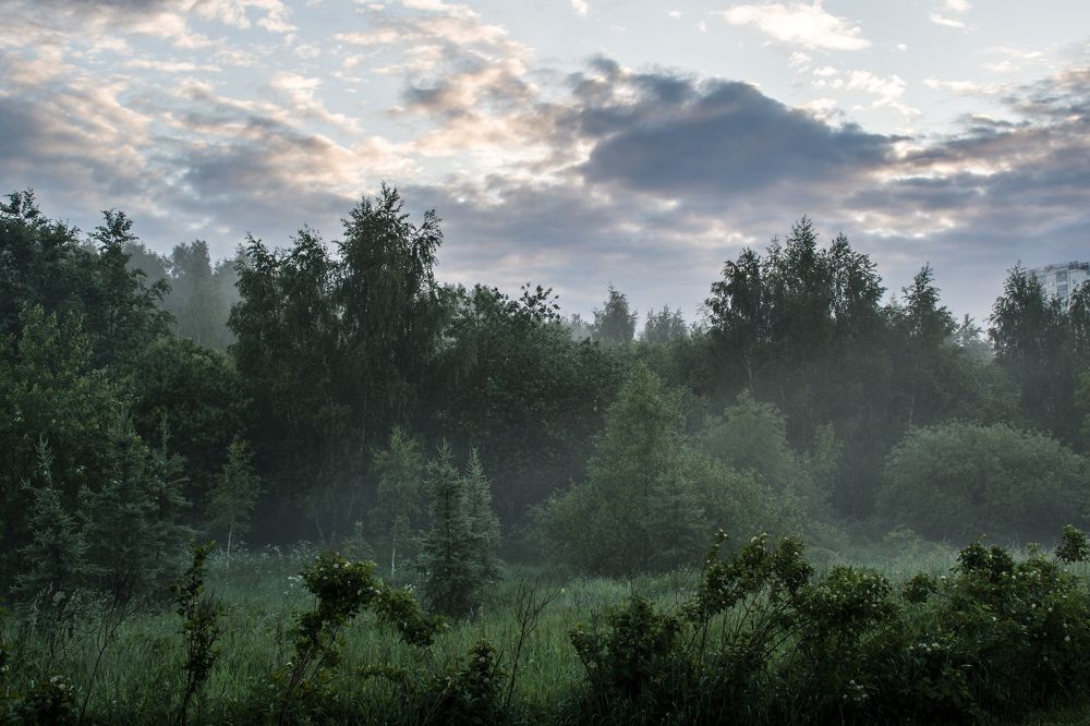 Photograph by Александр Бураков
