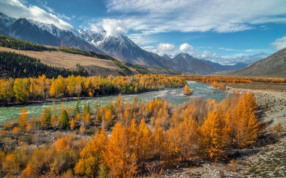 Осенний Аргут...